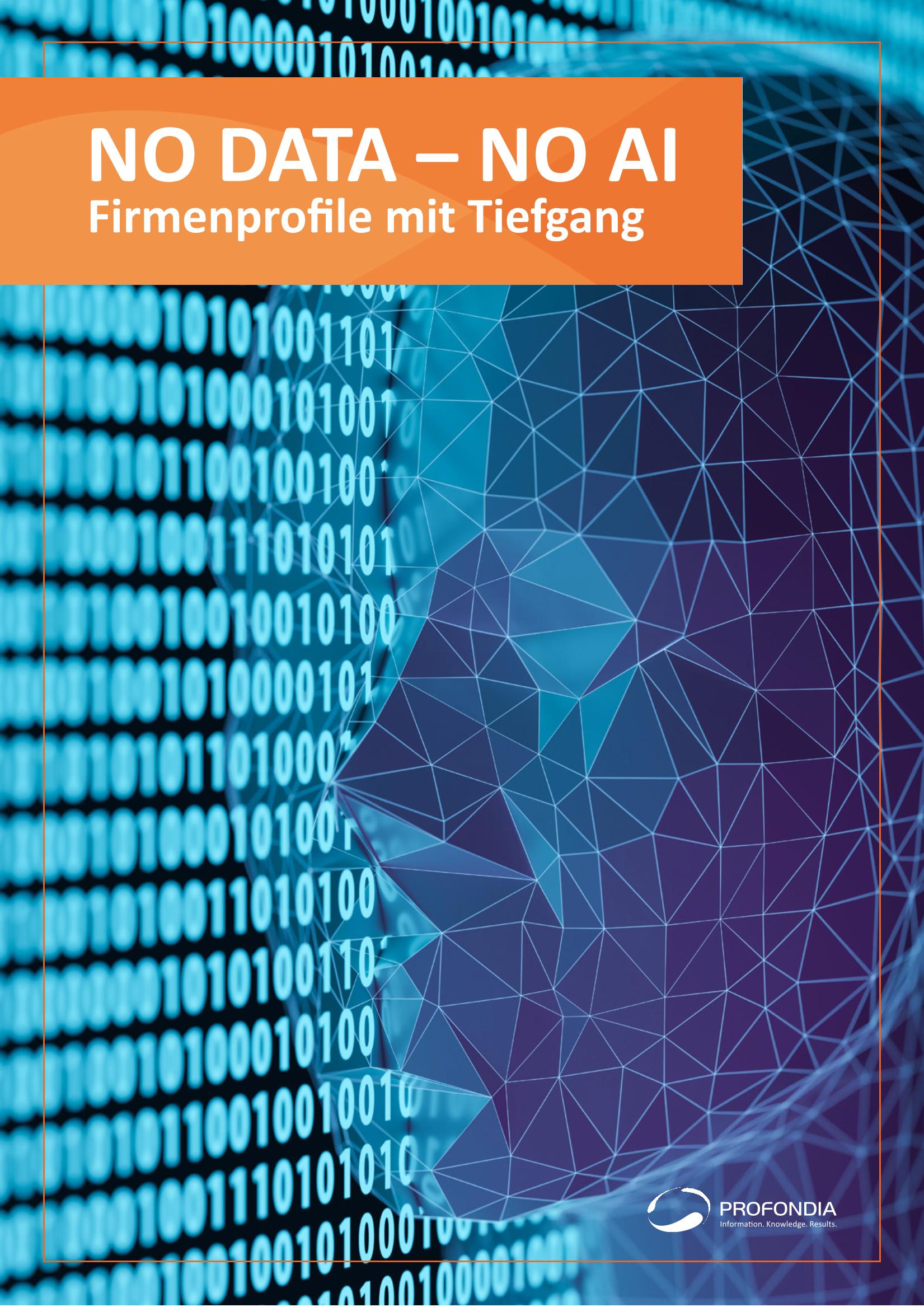 Profondia-Beilage IT-Markt 6/2025